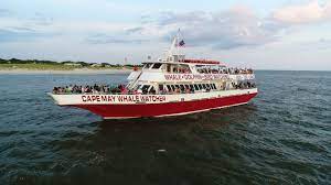 Things To Do Cape May Whale Watcher